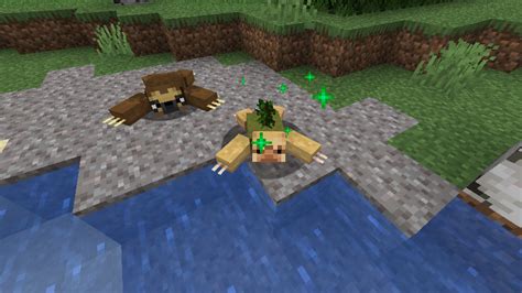 how to tame a sloth in minecraft